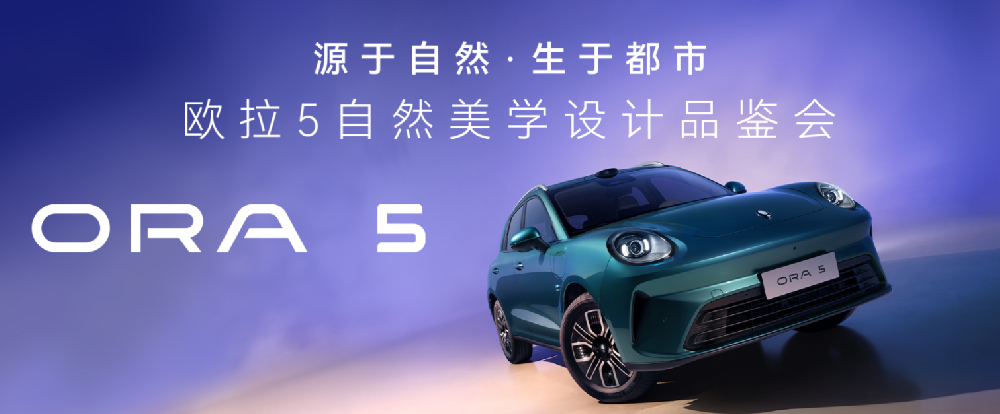 二十九號店-哈弗新能源、歐拉